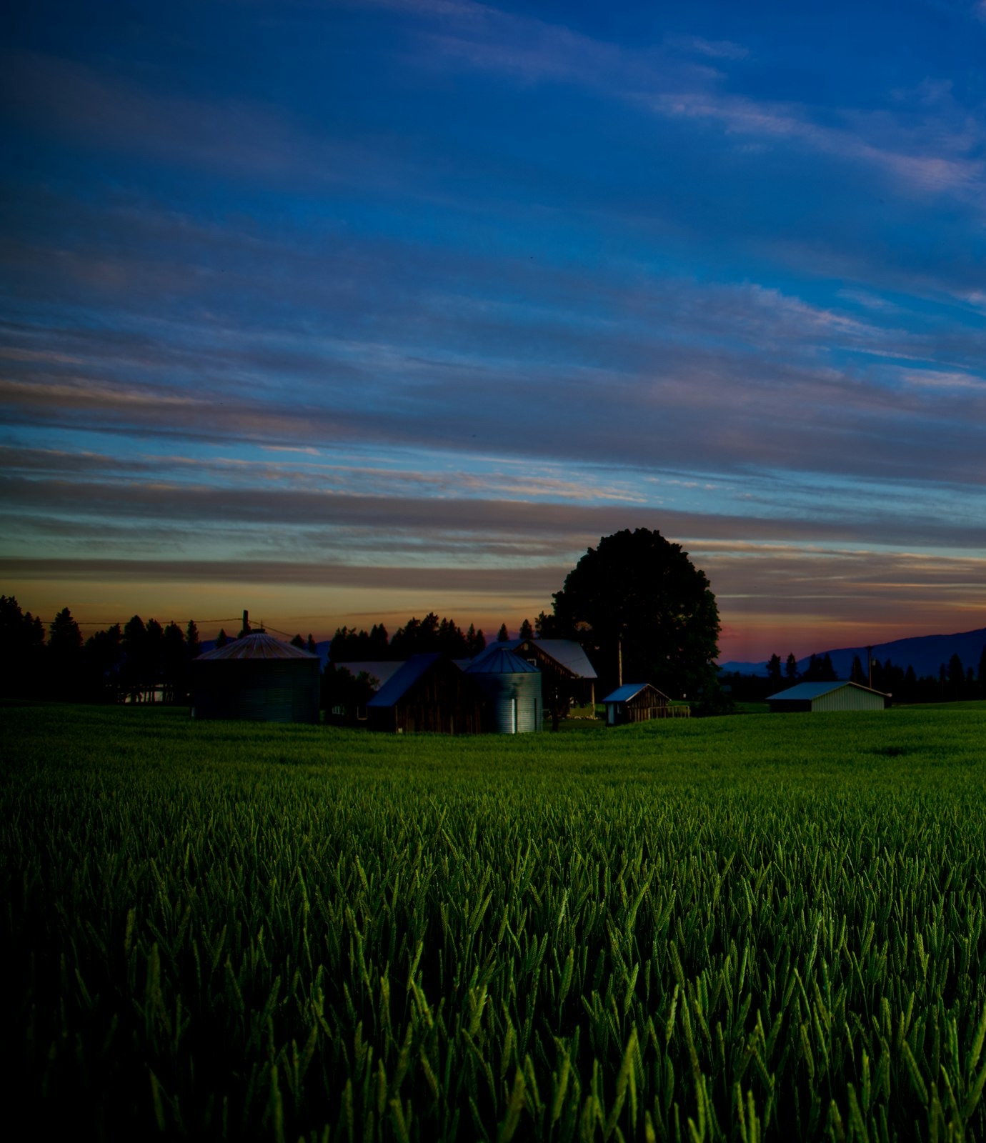 Farm buildings and grain bins across a dark green field at dusk, deep blue sky with a low band of sunset colour