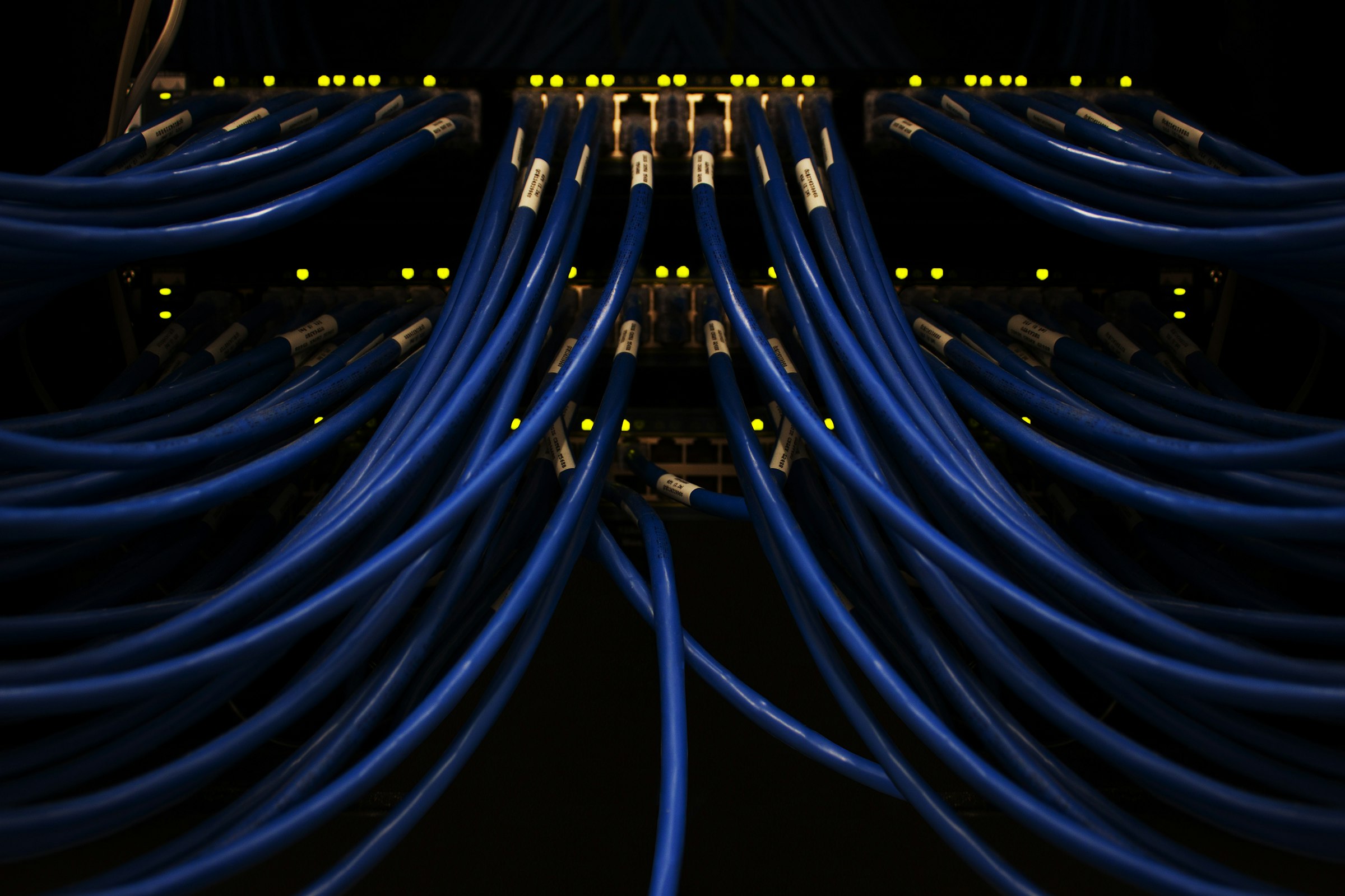 Blue network cables patched into a dark equipment rack, port lights glowing amber
